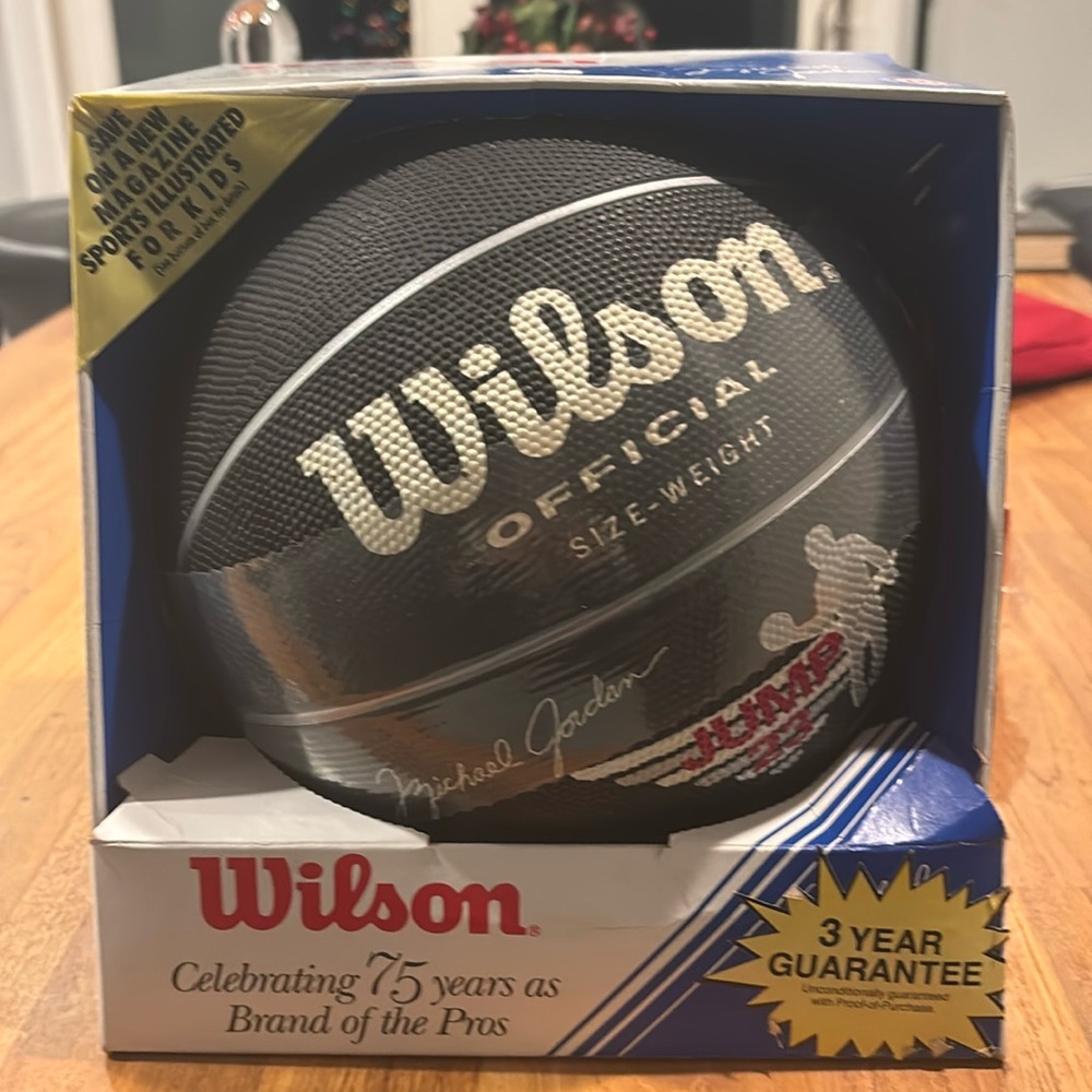 WILSON MICHEAL JORDAN JUMP 23 INDOOR/OUTDOOR BALL